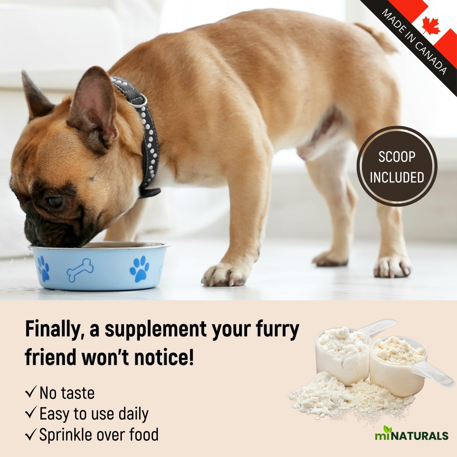 K9 Prebiotics and Probiotics