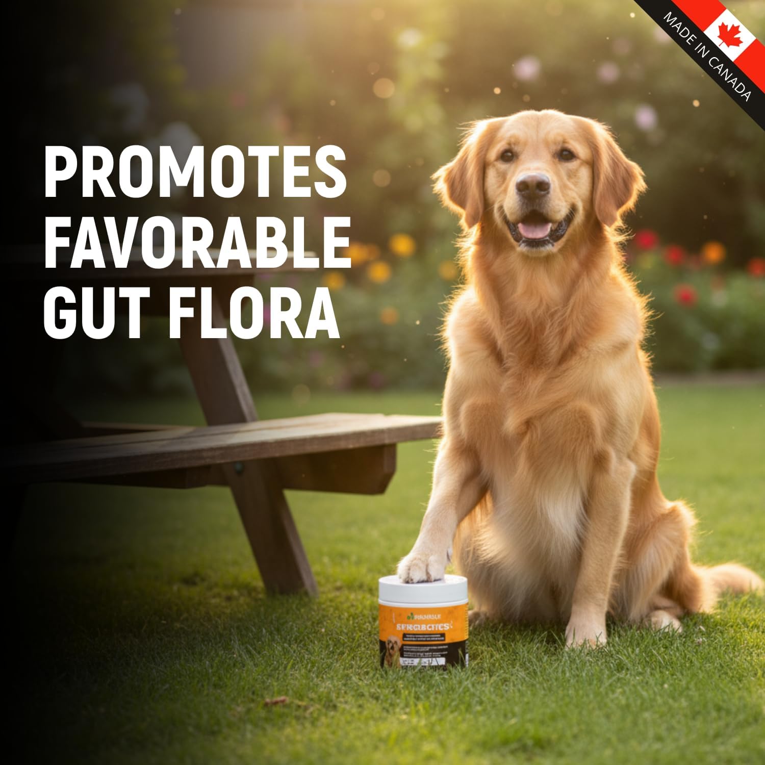 K9 Prebiotics and Probiotics