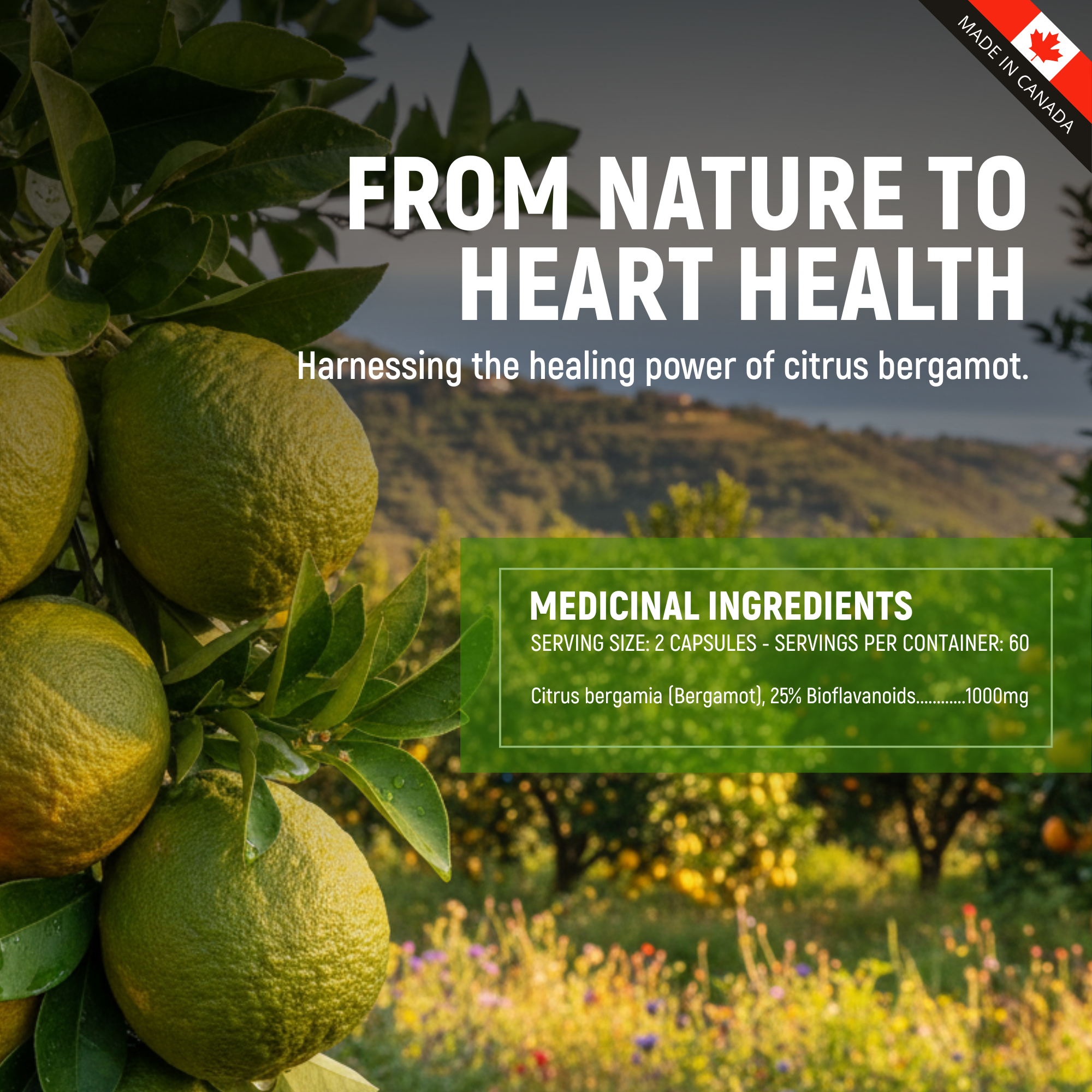 Ultra Premium Bergamot