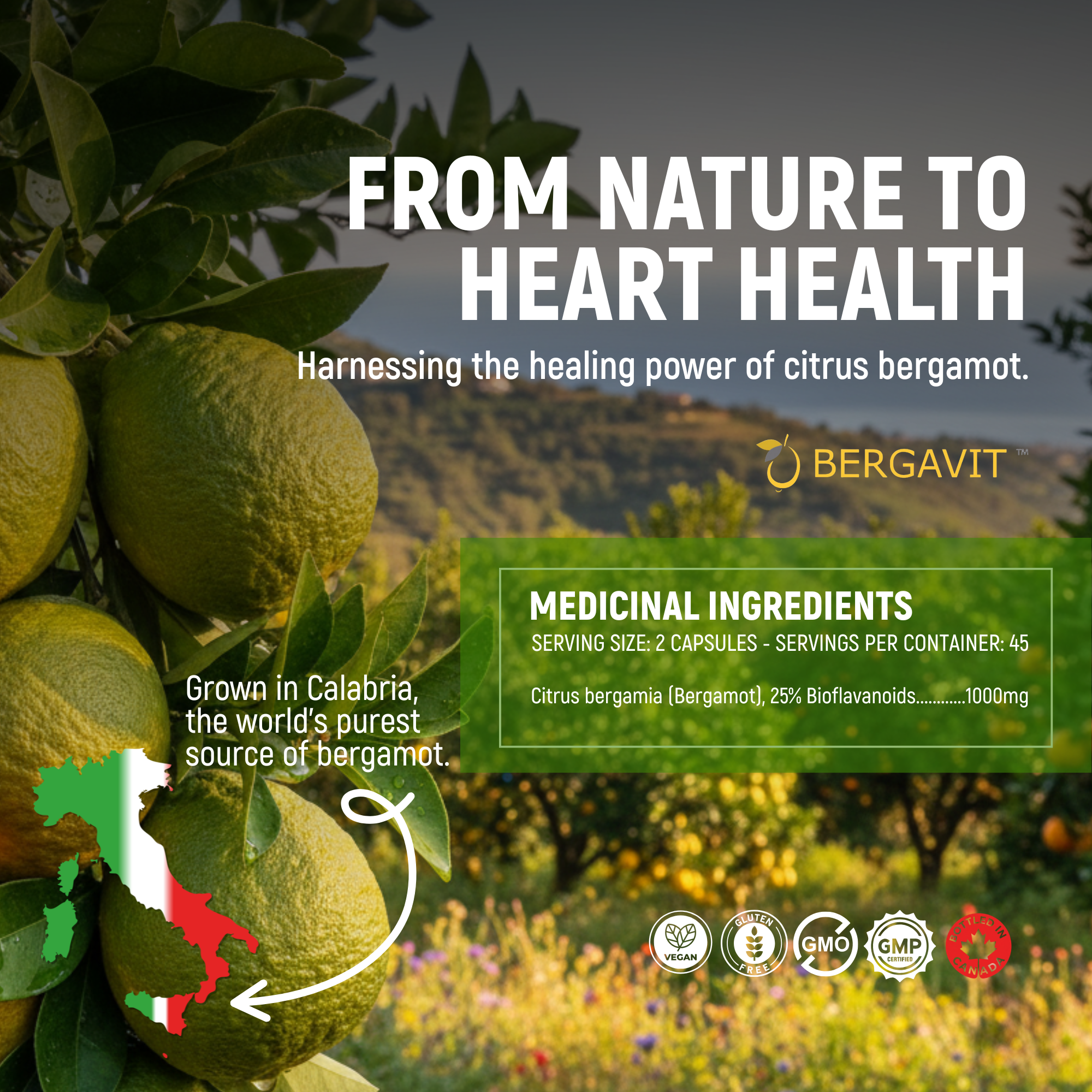 Ultra Premium Bergamot with Bergavit