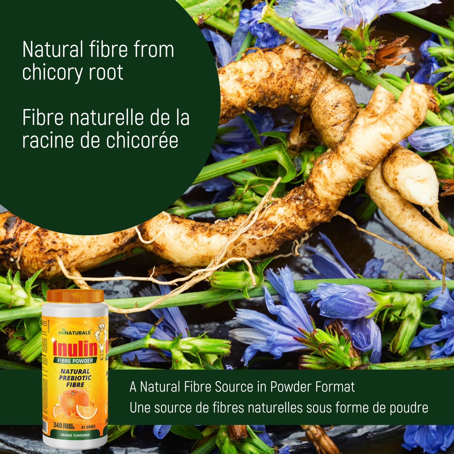 Poudre de fibres d'inuline pure - Supplément de fibres prébiotiques naturelles (340 g - 81 doses) - Arôme orange