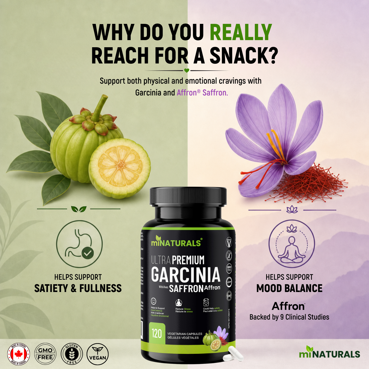 Garcinia Ultra Premium au Safran