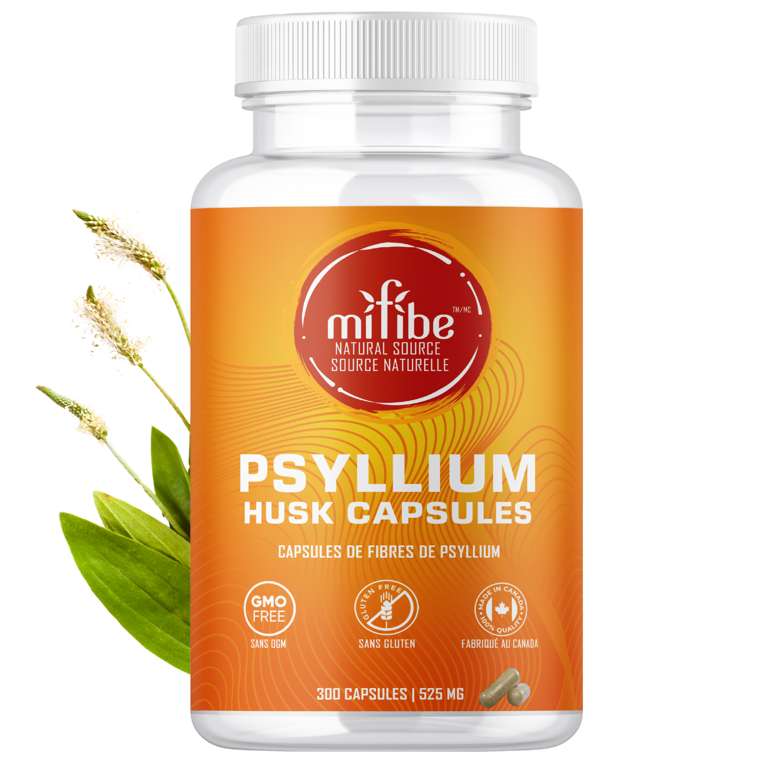 Capsules de fibres de cosse de psyllium - 525 mg par capsule - 300 capsules