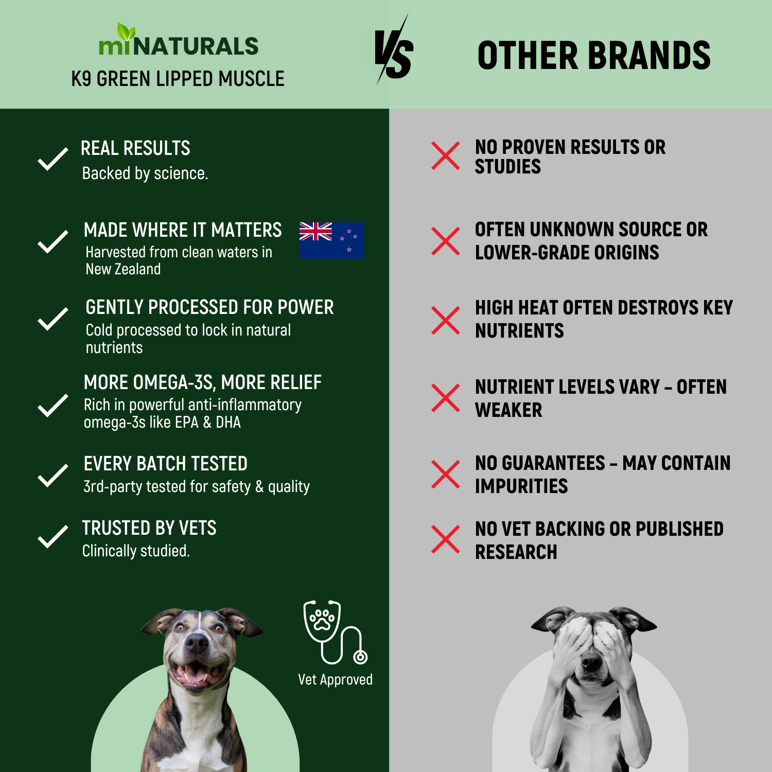 Moule à lèvres vertes pour chiens – Complément alimentaire 100 % pur de Nouvelle-Zélande pour les hanches et les articulations des chiens